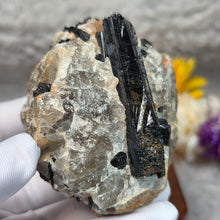 Load image into Gallery viewer, Raw Black Tourmaline in Quartz Specimen Display – 黑碧玺共生石英原矿摆件
