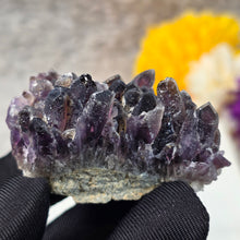 Load image into Gallery viewer, Amethyst Cluster Specimen (Bulgaria) – 保加利亚紫水晶簇矿标
