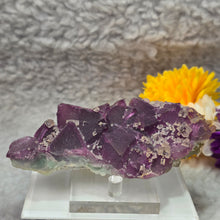 Load image into Gallery viewer, Purple &amp; Green Bi-Tone Fluorite Display – 紫绿双色萤石摆件
