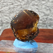 Load image into Gallery viewer, Raw Blue Amber – Calm Energy, Clarity &amp; High-Vibration Protection
