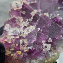 Load image into Gallery viewer, Purple &amp; Green Bi-Tone Fluorite Display – 紫绿双色萤石摆件
