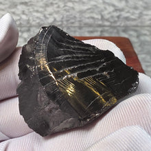 Load image into Gallery viewer, Raw Elite Shungite – High-Carbon Protection &amp; Grounding Stone
