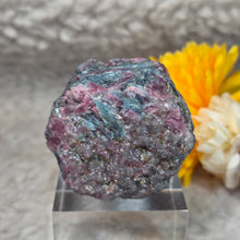 Load image into Gallery viewer, Raw Ruby with Kyanite Specimen Display – 红宝石共生蓝晶石原矿摆件
