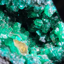 Load image into Gallery viewer, Dioptase with Malachite, Shattuckite &amp; Chrysocolla Specimen (Congo) – 刚果翠铜矿共生孔雀石、蓝铜矿与蓝铜矿石矿标

