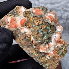 Load image into Gallery viewer, Thomsonite with Mesolite Specimen (India) – 印度托姆森石伴中沸石矿物标本
