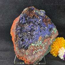 Load image into Gallery viewer, Azurite with Malachite Display (Laos) – 老挝蓝铜矿共生孔雀石摆件

