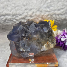Load image into Gallery viewer, Blue Fluorite Display (Pakistan) – 巴基斯坦蓝萤石矿物摆件
