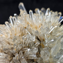 Load image into Gallery viewer, Clear Quartz with Blue Needle Cluster Display (Santander Mine, Colombia) – 哥伦比亚 Santander 蓝针水晶天然石英簇矿物摆件
