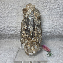 Load image into Gallery viewer, Elestial Quartz Display (Brazil) – 巴西骨幹水晶原石摆件
