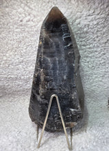 Load image into Gallery viewer, 8.74kg Cathedral Smoky Quartz Pointer (Brazil) – 巴西教堂形烟晶指针标本

