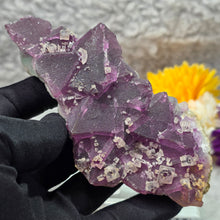 Load image into Gallery viewer, Purple &amp; Green Bi-Tone Fluorite Display – 紫绿双色萤石摆件
