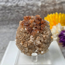 Load image into Gallery viewer, Aragonite Specimen (Bulgaria) – 保加利亚霰石矿标
