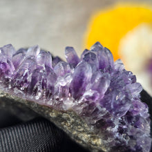 Load image into Gallery viewer, Amethyst Cluster Specimen (Bulgaria) – 保加利亚紫水晶簇矿标
