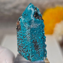 Load image into Gallery viewer, Blue Chrysocolla on Quartz Display (Peru) – 秘鲁蓝硅孔雀石共生石英摆件
