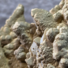Load image into Gallery viewer, Quartz with Calcite &amp; Actinolite Cluster (Madan Ore Field, Smolyan Province, Bulgaria) – 保加利亚马丹矿区石英方解石阳起石共生晶簇
