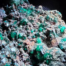 Load image into Gallery viewer, Dioptase (Congo) – Intense Heart Healing &amp; Rare Collector Crystal
