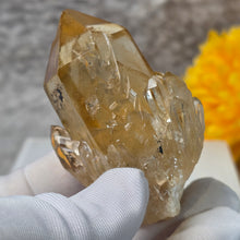 Load image into Gallery viewer, Natural Citrine Specimen (Congo) – 刚果天然黄水晶矿标
