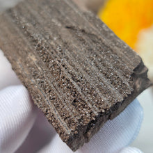 Load image into Gallery viewer, German Druzy Petrified Wood Display – Ancient Fossil Wood Specimen – 德国晶洞木化石远古化石标本
