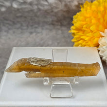 Load image into Gallery viewer, Golden Selenite Display (Spain) – 西班牙金色透石膏摆件
