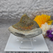 Load image into Gallery viewer, Rainbow Pyrite Specimen Display (Russia) – 俄罗斯彩虹黄铁矿标本摆件
