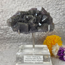 Load image into Gallery viewer, Colour-Changing Fluorite with Pyrite (Nigeria) – 尼日利亚变色萤石共生黄铁矿

