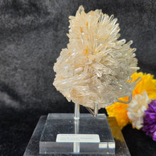 Load image into Gallery viewer, Clear Quartz with Blue Needle Cluster Display (Santander Mine, Colombia) – 哥伦比亚 Santander 蓝针水晶天然石英簇矿物摆件
