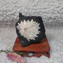 Load image into Gallery viewer, Chrysanthemum Stone Display – 菊花石天然摆件
