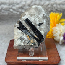 Load image into Gallery viewer, Raw Black Tourmaline in Quartz Specimen Display – 黑碧玺共生石英原矿摆件
