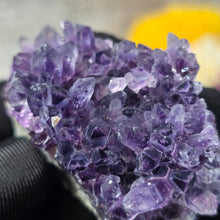 Load image into Gallery viewer, Amethyst Cluster Specimen (Bulgaria) – 保加利亚紫水晶簇矿标
