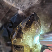 Load image into Gallery viewer, Smokey Quartz Jumbo Pointer (Brazil) – Grounding, Protection &amp; Power Crystal
