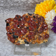 Load image into Gallery viewer, Spessartine Garnet with Smoky Quartz Specimen Display – 锰铝榴石伴生烟水晶标本摆件
