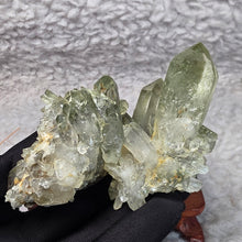 Load image into Gallery viewer, Green Phantom Quartz Cluster (Pakistan) – Growth, Prosperity &amp; Earth Energy
