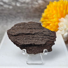 Load image into Gallery viewer, German Druzy Petrified Wood Display – Ancient Fossil Wood Specimen – 德国晶洞木化石远古化石标本
