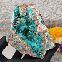 Load image into Gallery viewer, Dioptase with Malachite, Shattuckite &amp; Chrysocolla Specimen (Congo) – 刚果翠铜矿共生孔雀石、蓝铜矿与蓝铜矿石矿标
