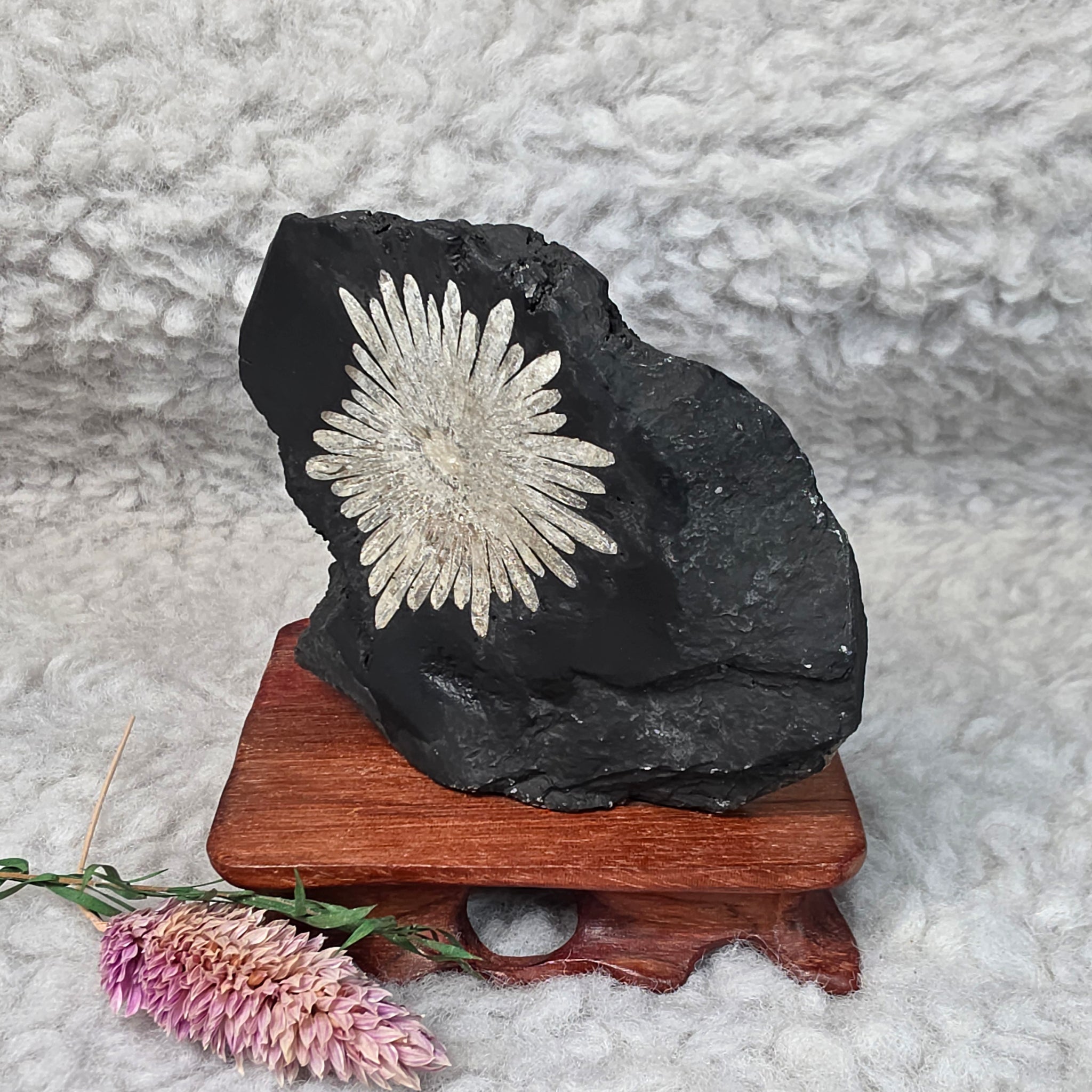 Chrysanthemum Stone Display – 菊花石天然摆件 – Living Gems SG